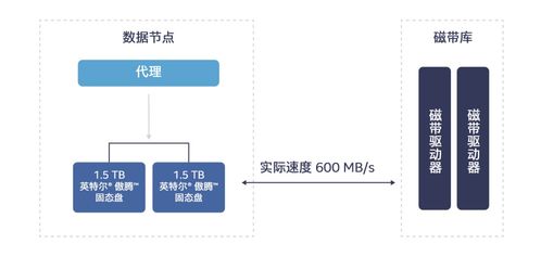英特尔傲腾技术 高效解决冷数据存储挑战，赋能数据处理与存储服务